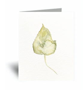 "Green Leaf" Blank Card 10 Pack Holiday